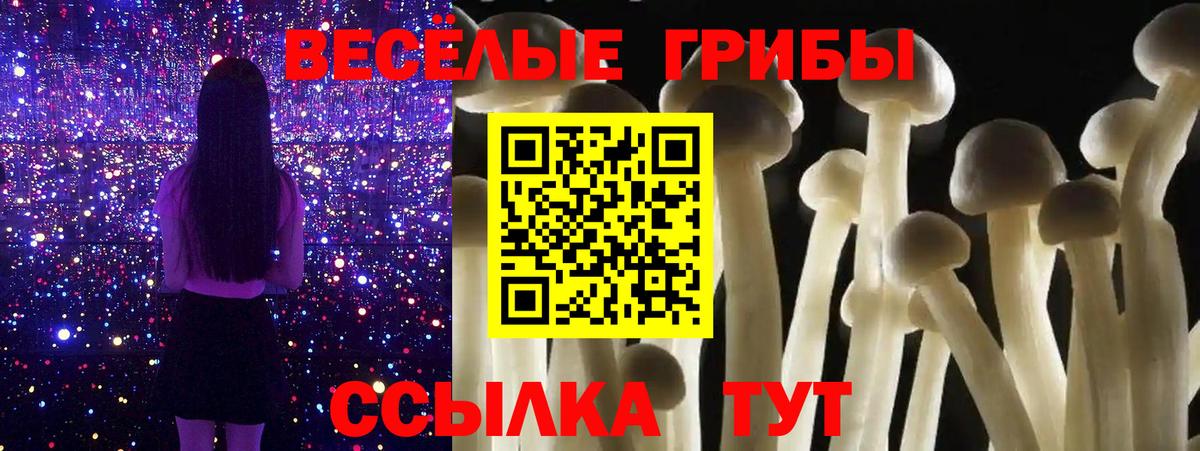Псилоцибиновые грибы мухоморы  Галлюциногенные грибы MAGIC MUSHROOMS  Вход с VPN  Славгород 